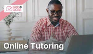 Online Tutoring