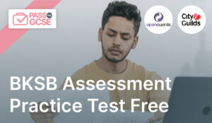 BKSB Assessment Practice Test Free